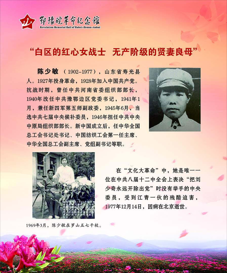 大别山上杜鹃红 <第二部分：风雨人生>