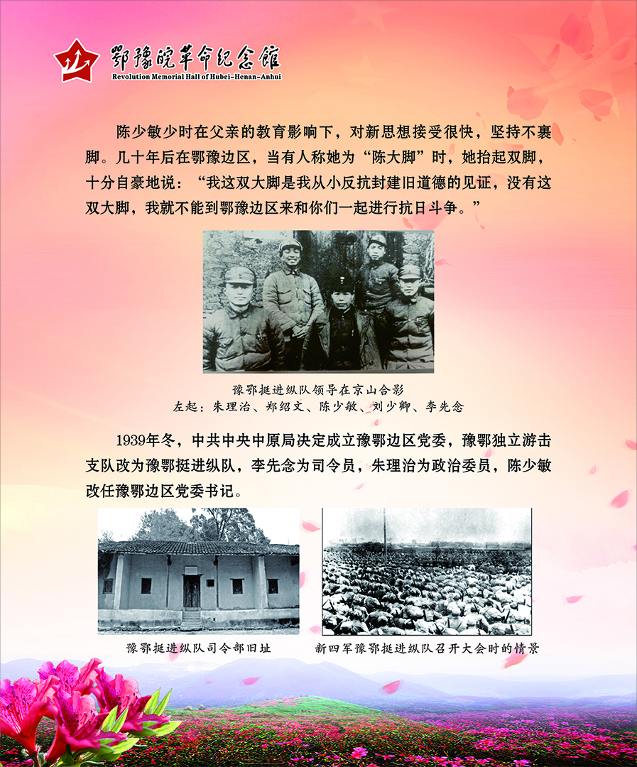 大别山上杜鹃红 <第二部分：风雨人生>