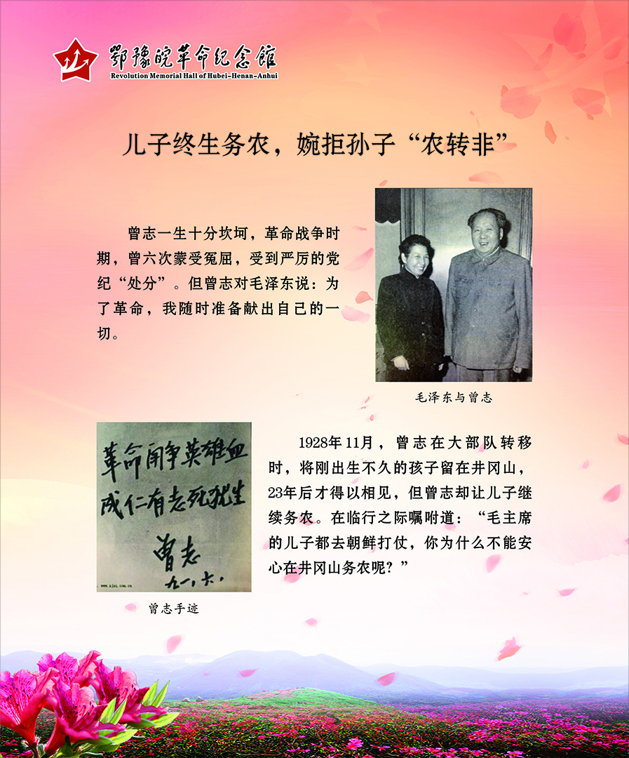 大别山上杜鹃红 <第二部分：风雨人生>