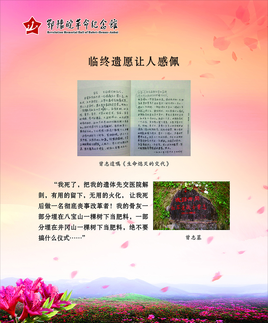 大别山上杜鹃红 <第二部分：风雨人生>