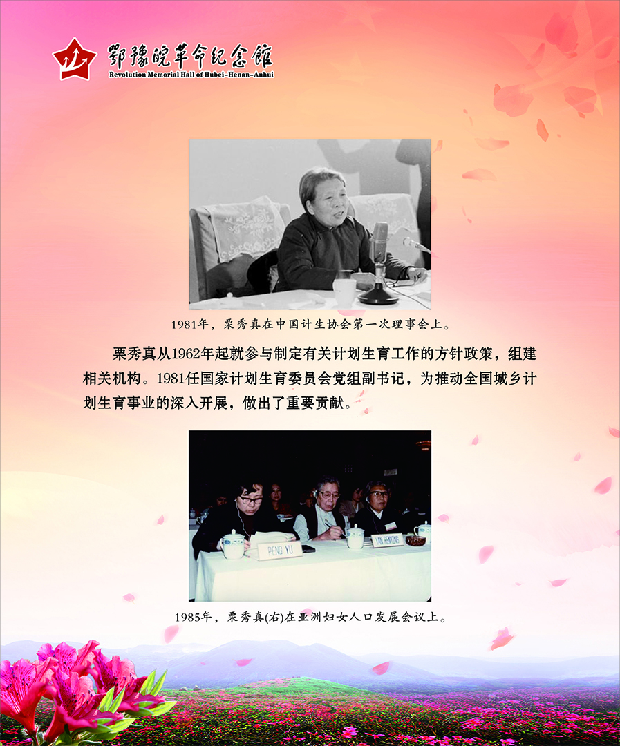 大别山上杜鹃红 <第二部分：风雨人生>