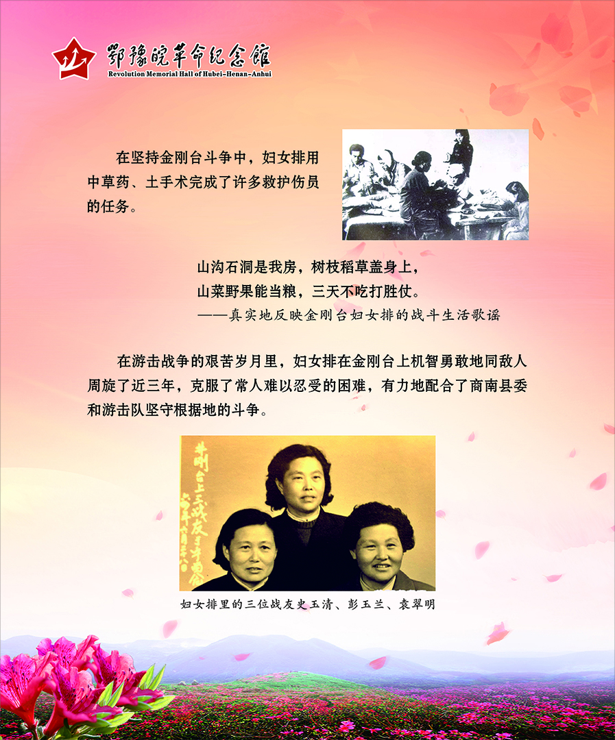 大别山上杜鹃红 <第二部分：风雨人生>