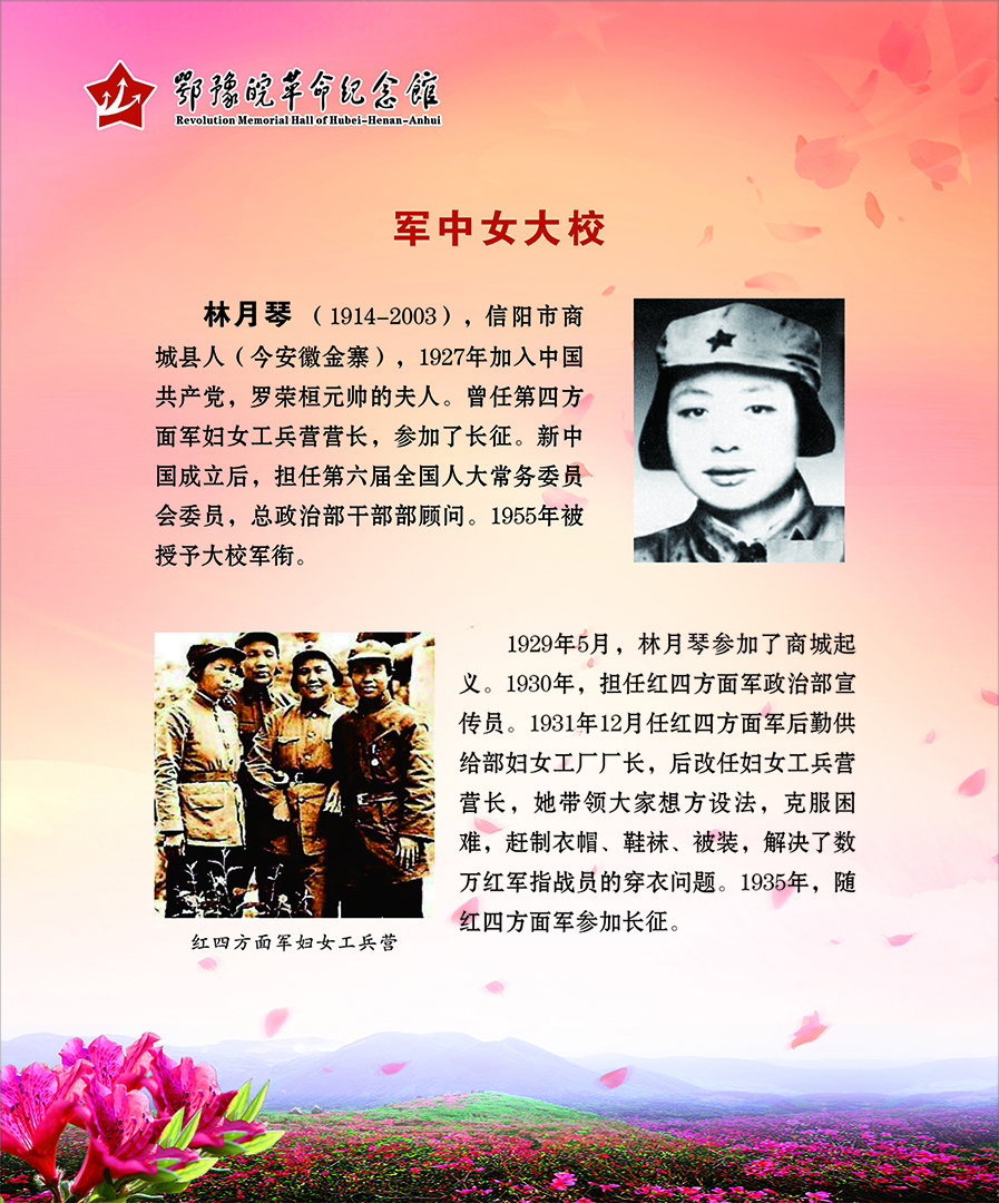 大别山上杜鹃红 <第二部分：风雨人生>