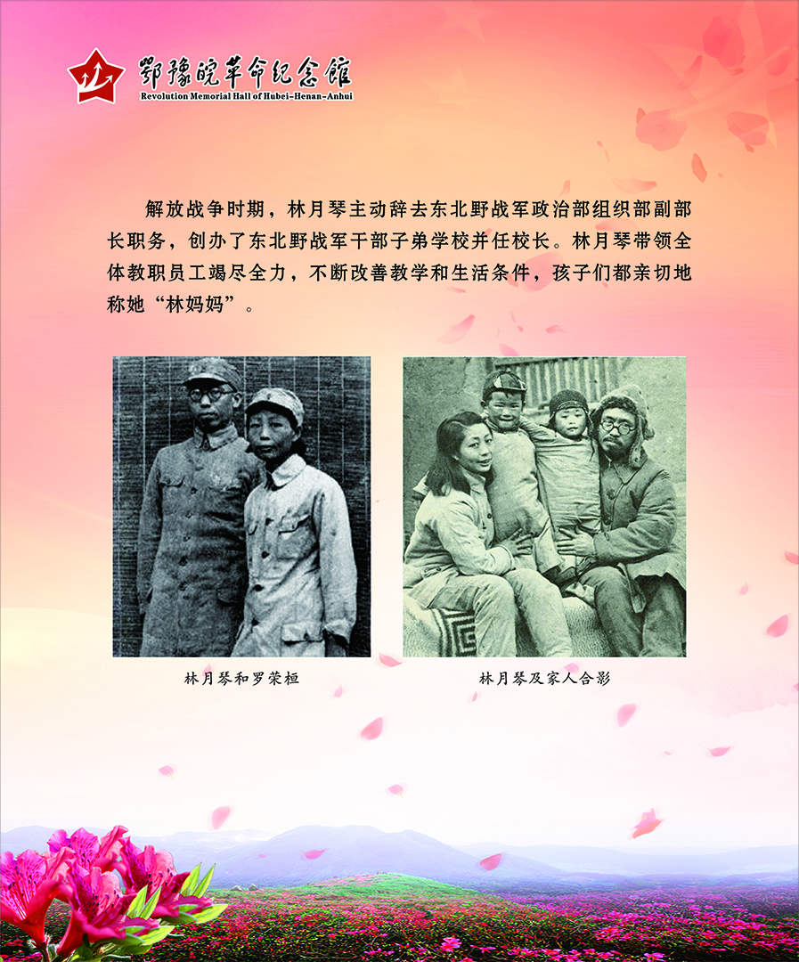 大别山上杜鹃红 <第二部分：风雨人生>