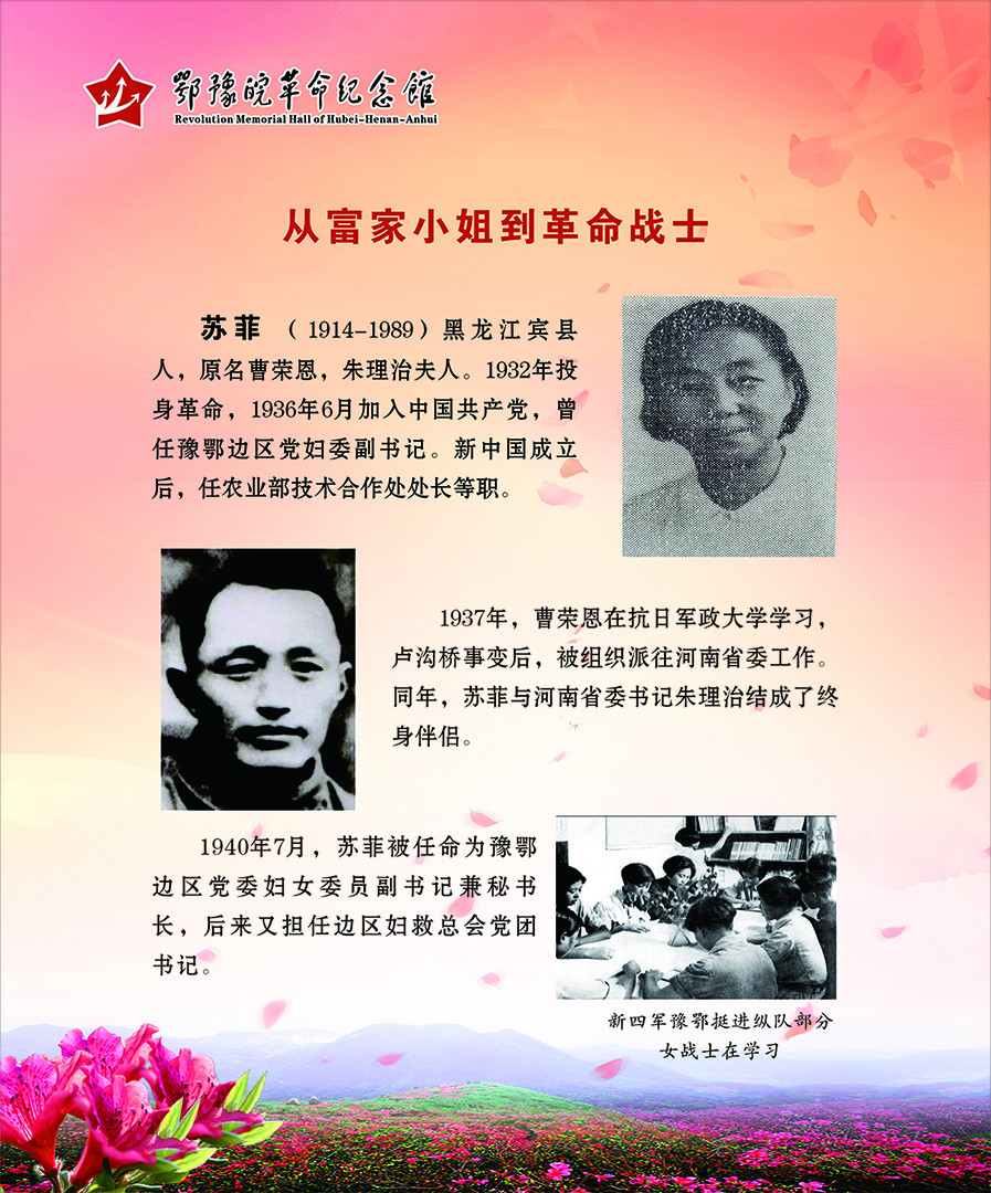大别山上杜鹃红 <第二部分：风雨人生>