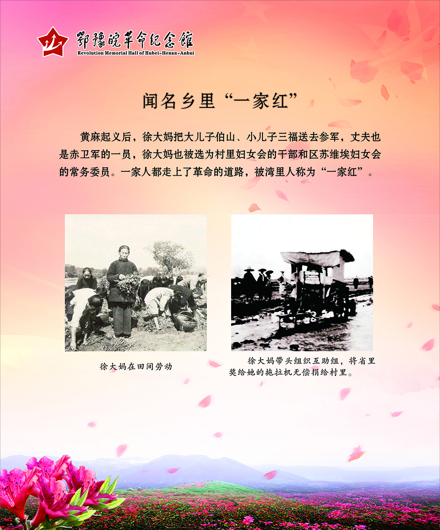 大别山上杜鹃红 <第三部分：血脉根基>
